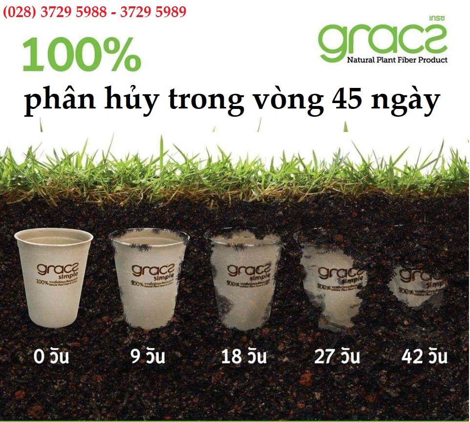 10 Chén bã mía Thái Lan 350ml (trắng)