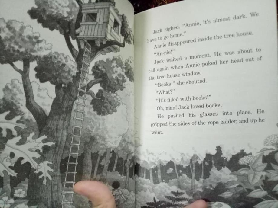 Magic Tree House Boxed Set - Sách nhập khẩu - Tâp 1 - 39 cuốn
