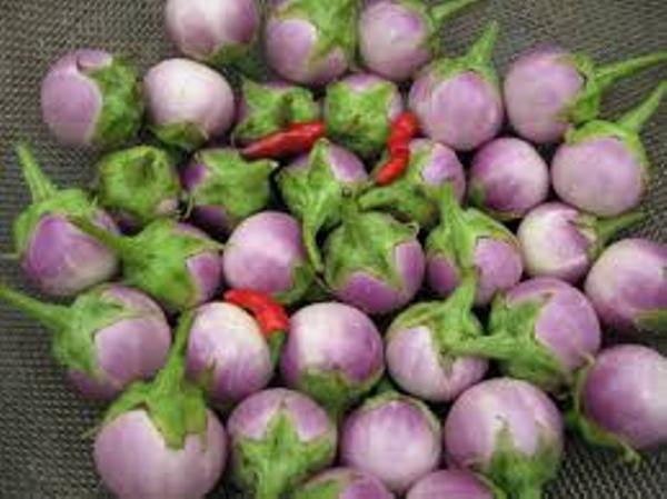 Hạt giống cà pháo tím - Gói 0.5g