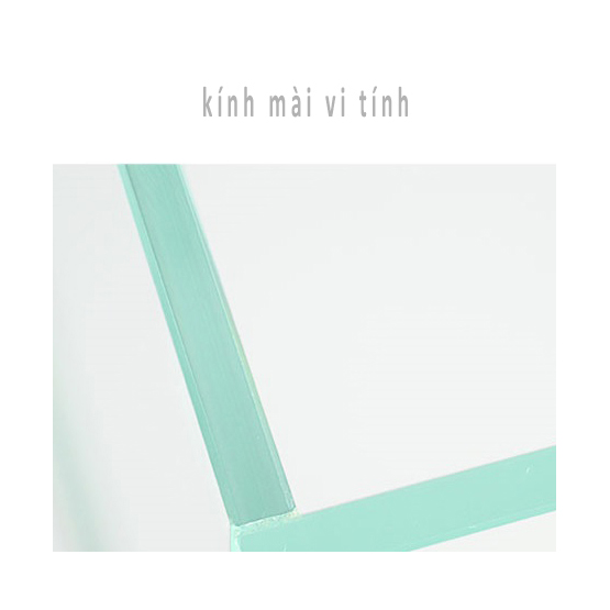 Bể cá chọi Betta đôi