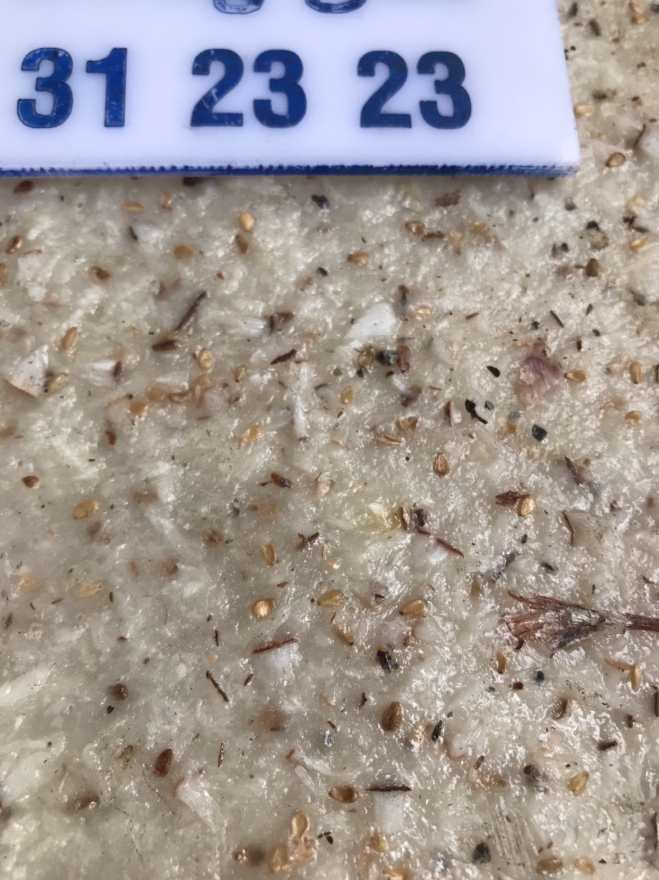 ]10 BÁNH TRÁNG DỪA TAM QUAN BÌNH ĐỊNH SIZE 30cm)