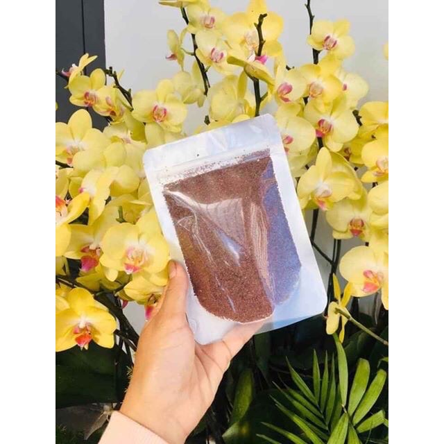 [HCM]Hạt ngũ hoa 100g ( hạt đình lịch )