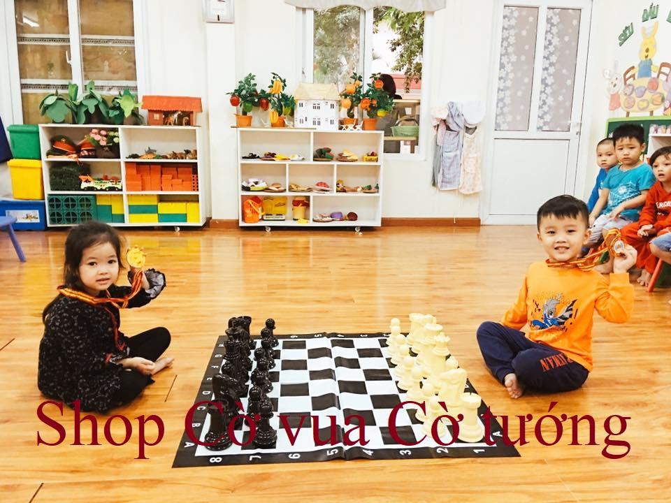 Bộ cờ vua vận động cỡ nhỏ