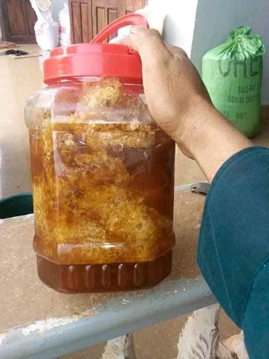 1 kg phấn hoa cà phê Daklak