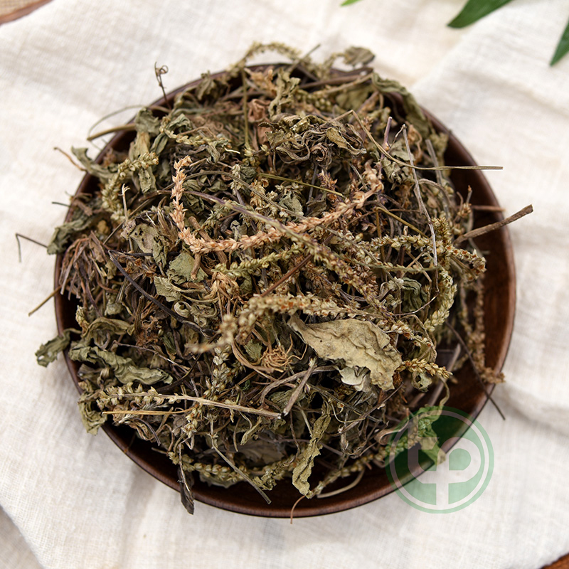 [HOT] Cây mã đề sấy khô 1kg - Thảo Dược Tấn Phát - Hàng công ty chất lượng cao - hỗ trợ thanh nhiệt và giải độc