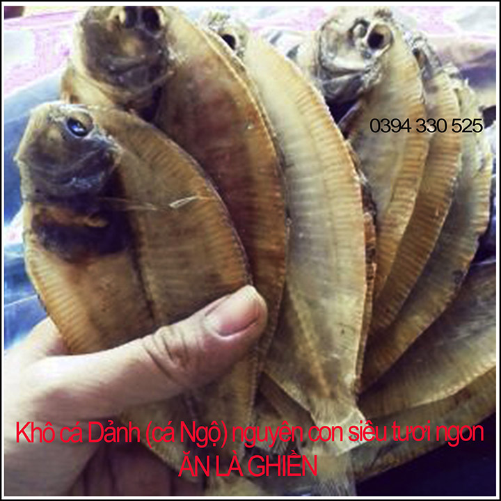 250GR Khô Cá Dảnh (Cá Ngộ) Loại Ngon Đặc Sản PHAN THIẾT-BÌNH THUẬN