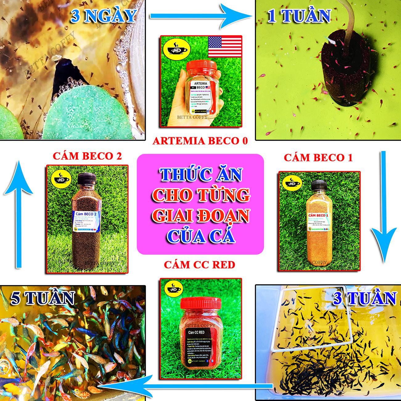 Yellow Care - Dưỡng Cá - Ship Cá - Phòng Bệnh