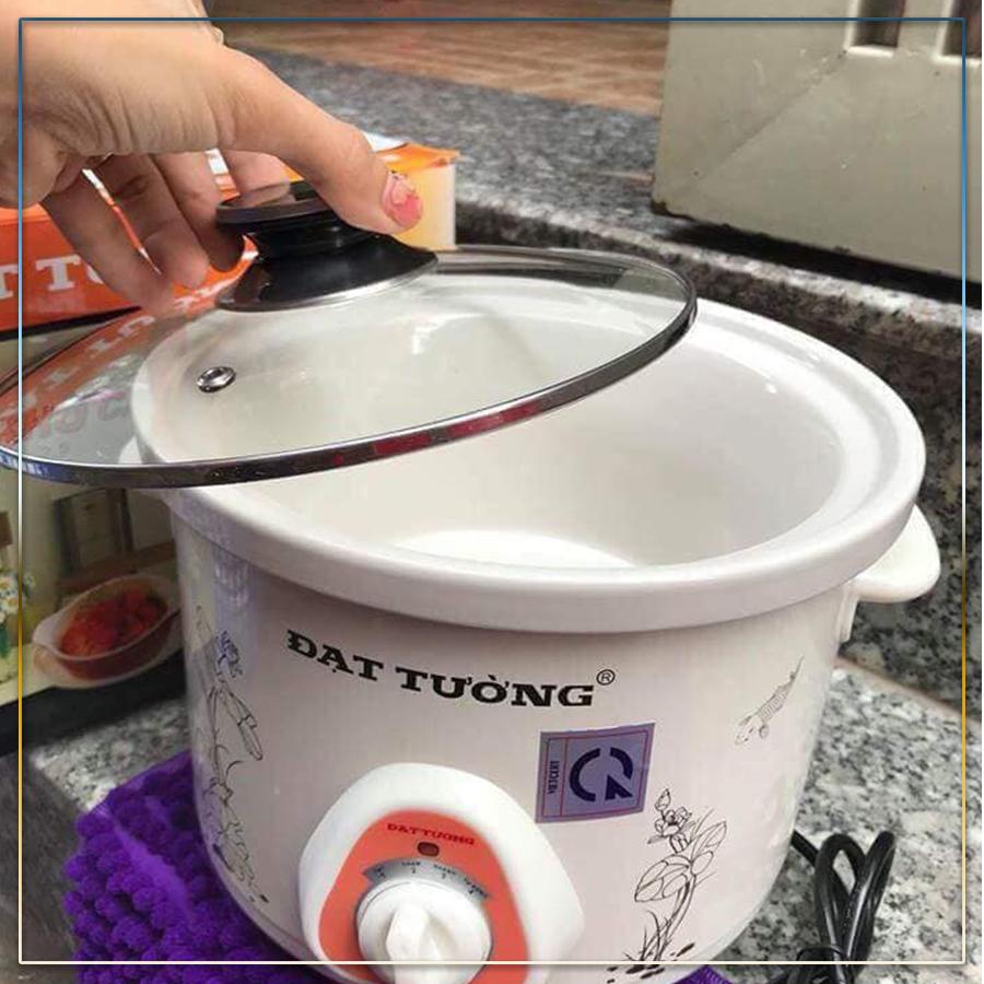 Nồi kho cá nấu cháo hầm đa năng Đạt Tường 2.5L