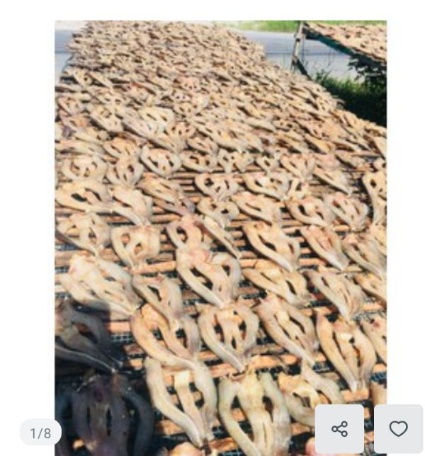 500g khô cá lóc đồng tháp