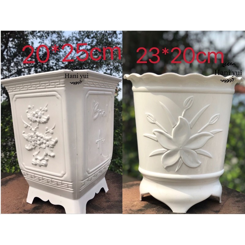 Chậu Nhựa Trồng Cây Size 4