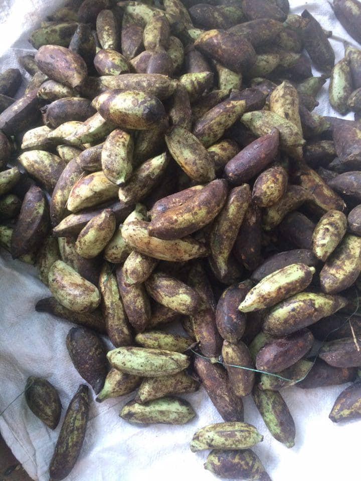 CHUỐI HỘT THÁI LÁT (1KG)