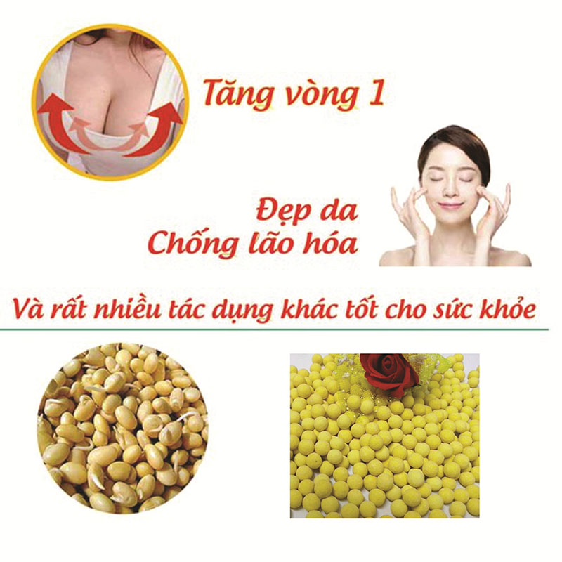 500G Viên Mầm Đậu Nành (Tăng vòng 1 nhanh chóng)