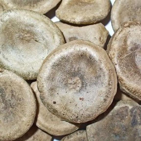 100g hạt mã tiền thảo