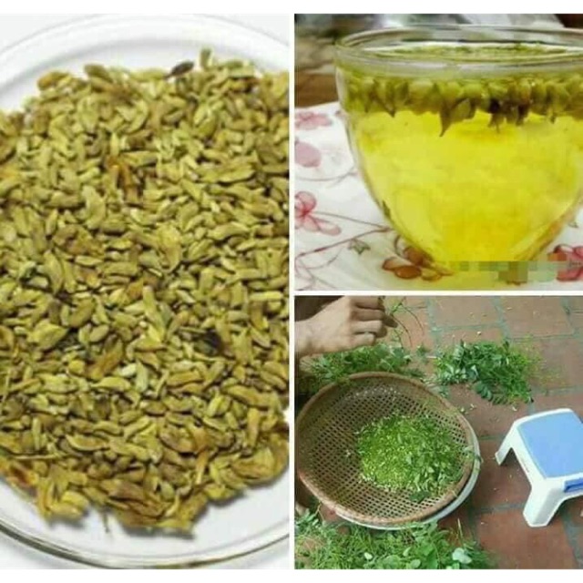 Trà hoa hòe sấy khô 20gram