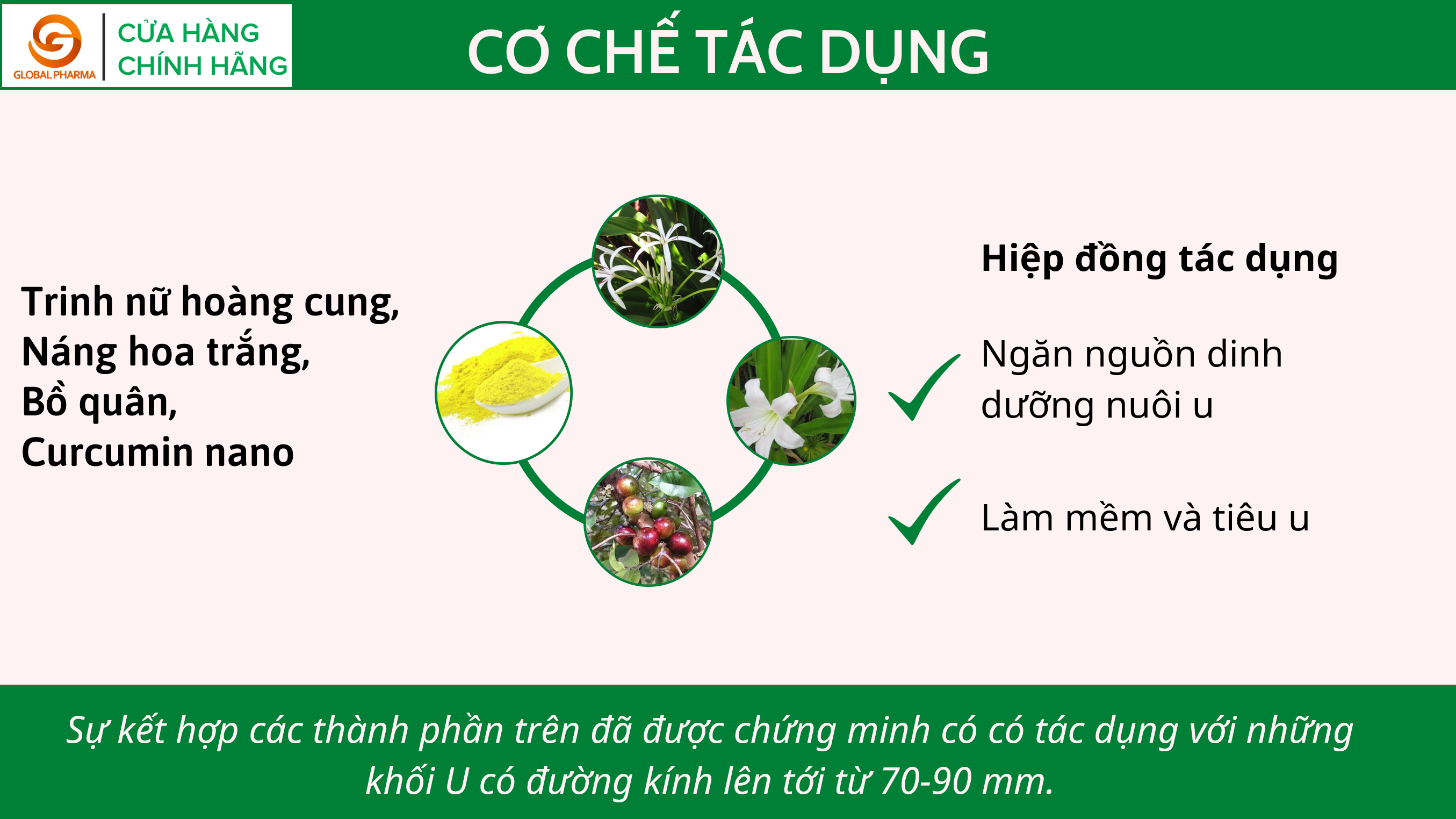 An Phụ Khang Plus