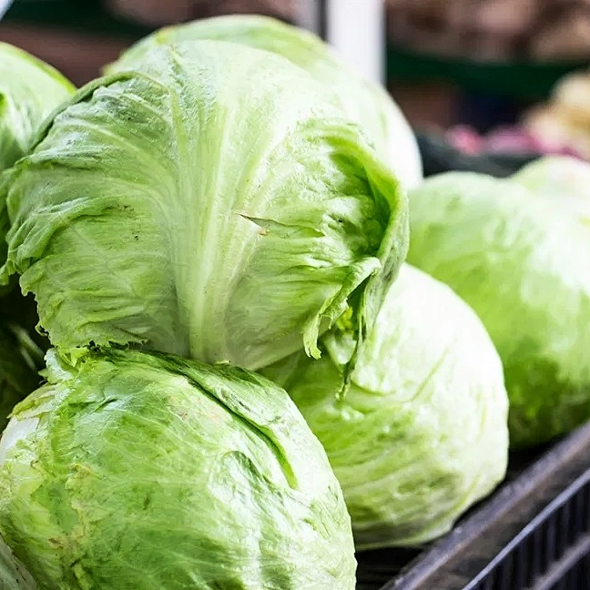 Iceberg Lettuce Seed (Rado 532) 2gr package