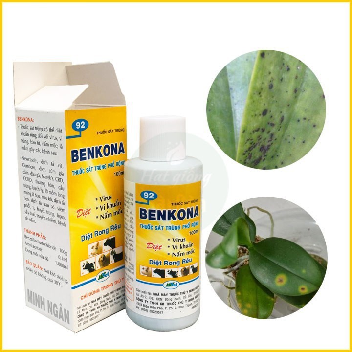 BENKONA chai 100ml - Thuố c sát trùng, diệt virut, vi khuẩn, nấm mốc, diệt rong rêu