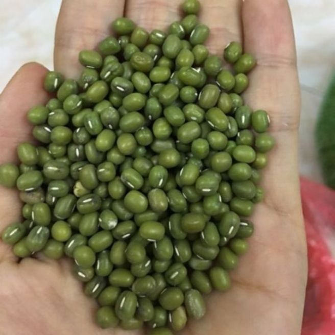 Sỉ toàn quốc 1kg đỗ xanh đỗ giá