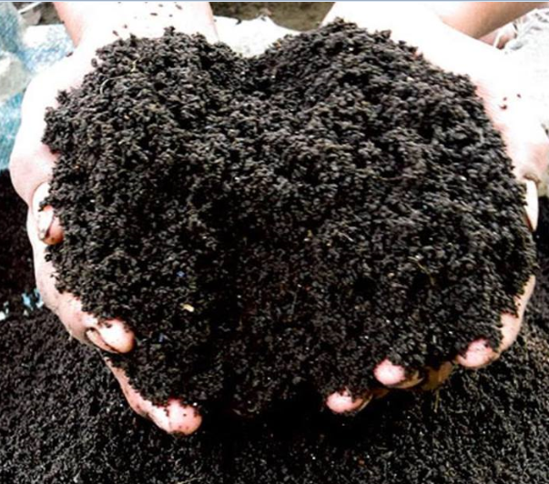 2 kg đất hữu cơ trồng cây trồng rau