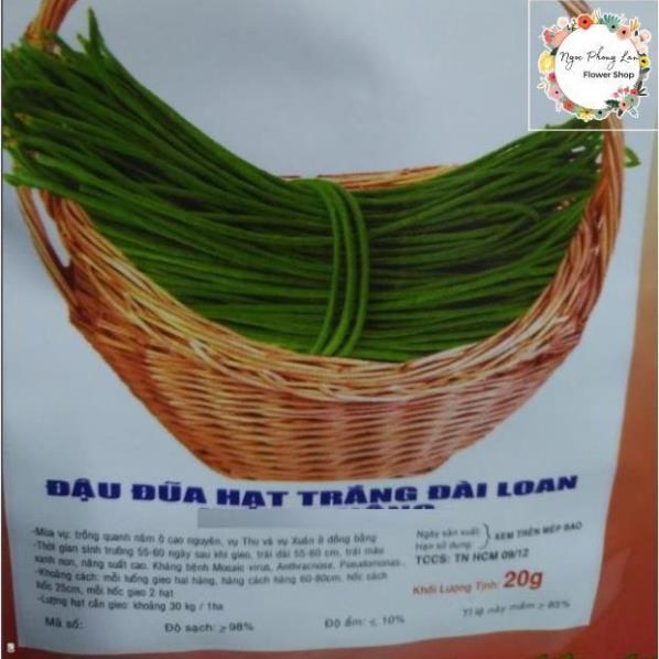 Giống Đậu Đũa Hạt Trắng - Gói 20 Gram