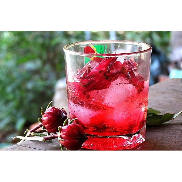 Hoa Atiso Đỏ Sấy Khô 100gram