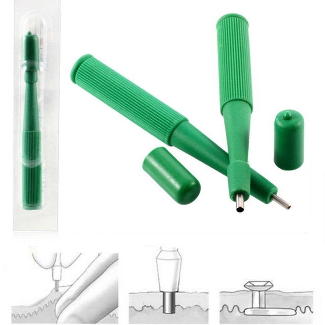 Cây đục cấy khuyên xỏ khuyên