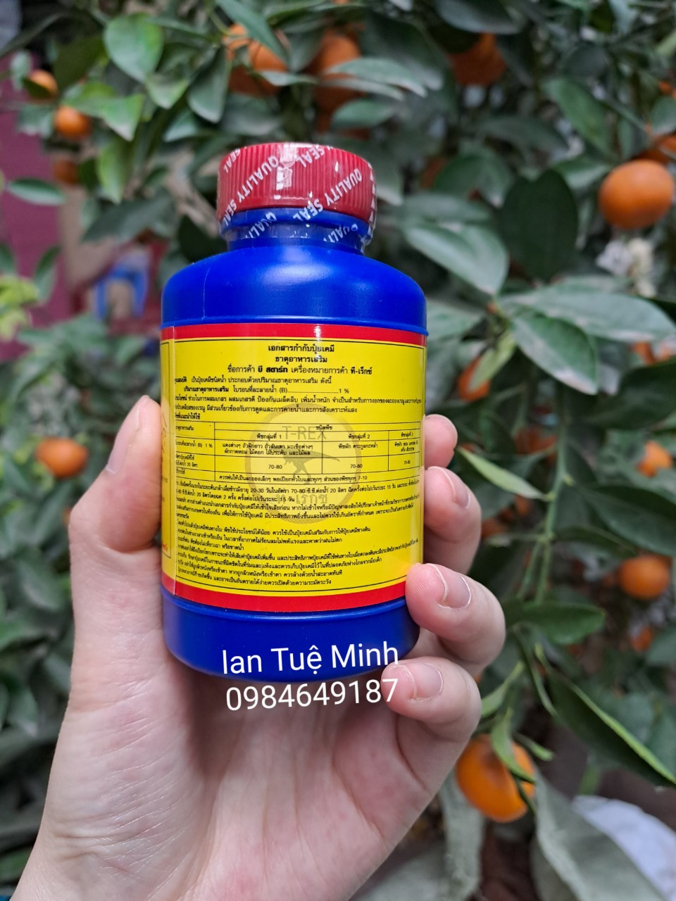 B1 Thái 100ml