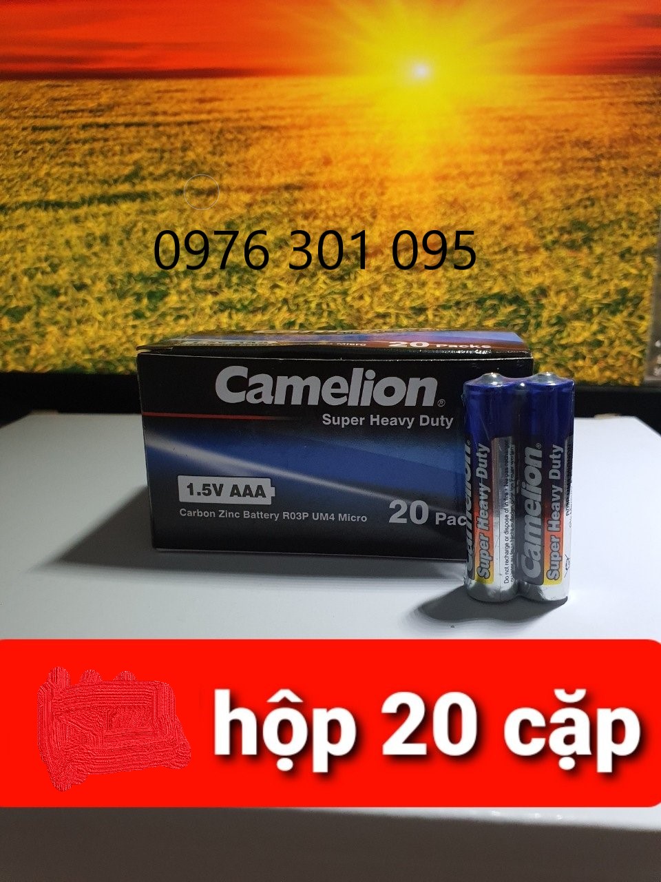 [CAMELION] Pin AA, AAA, Vuông 9V Thông Dụng ( Hộp )