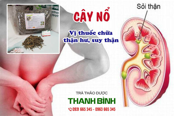 Cây Nổ 500g Loại Đặc Biệt - Hàng Công Ty