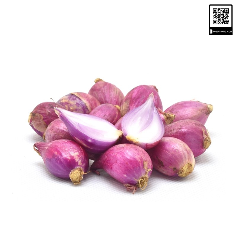 Hạt giống hành tây đỏ