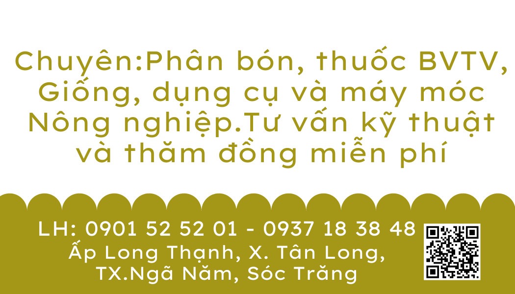 HẠT GIỐNG DƯA HẤU HẮC MỸ NHÂN - 5GR