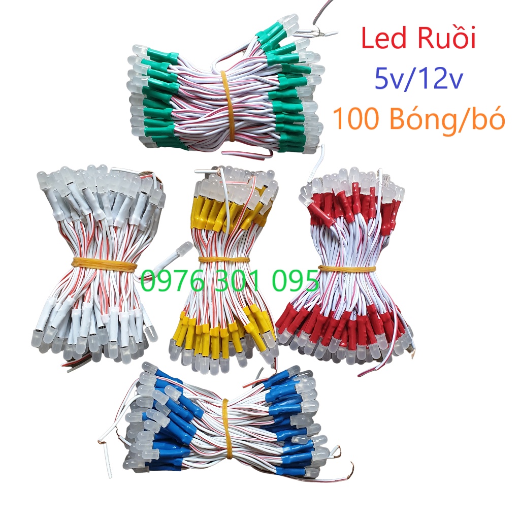 Led ruồi liền dây 12v