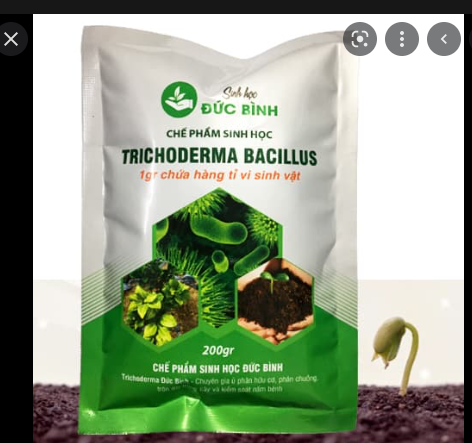 Chế phẩm men vi sinh nấm đối kháng trichoderma bacillus Đức Bình 200gr