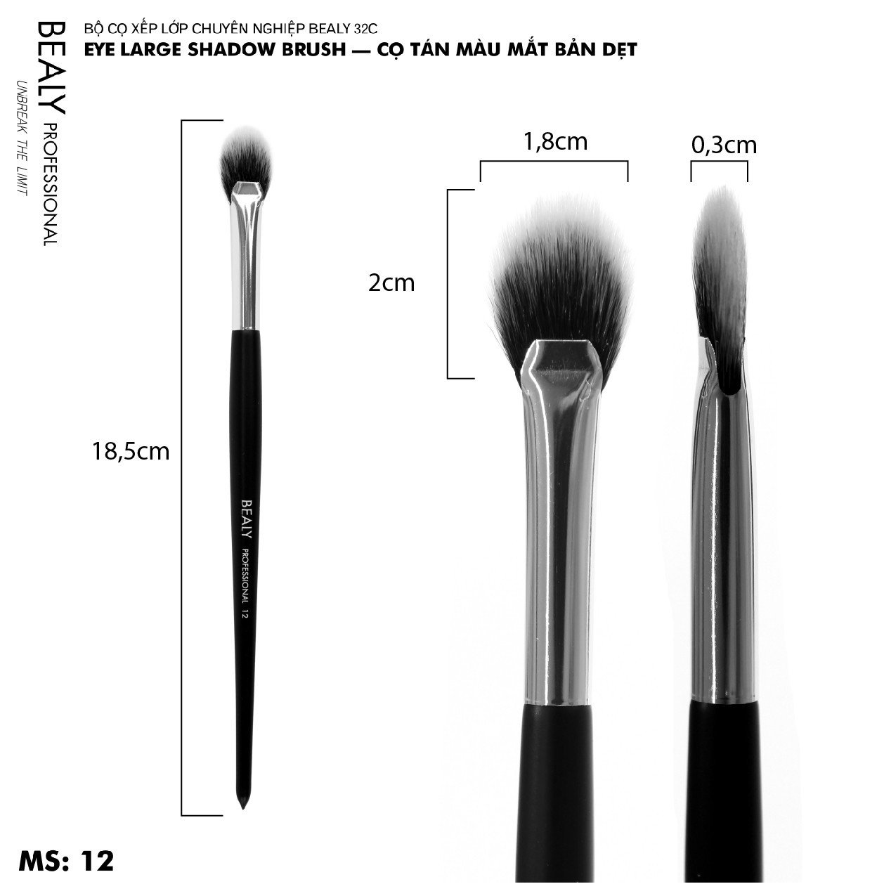 CỌ MẮT XẾP LỚP BEALY NO.12