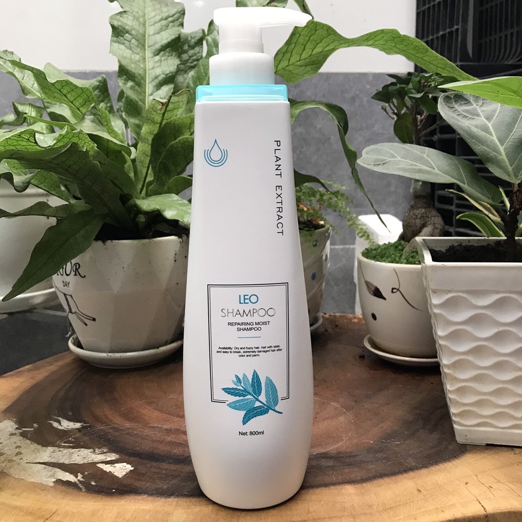 [HCM]Dầu Gội Phục Hồi Tóc Hư Tổn Prosee Leo Shampoo 800ml