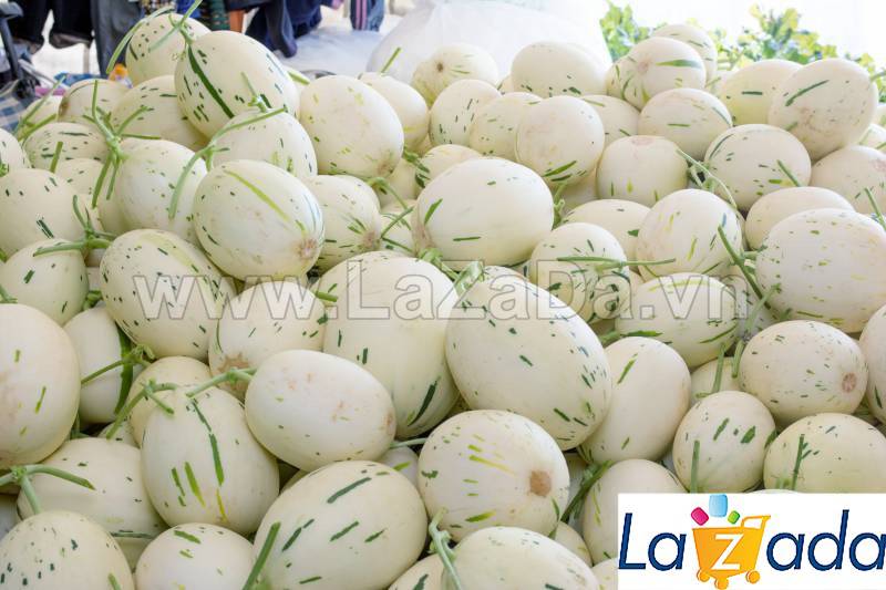 25 HẠT Hạt Giống Dưa Lê Đốm Hàn Quốc (B3.504| A2*X55*M180)