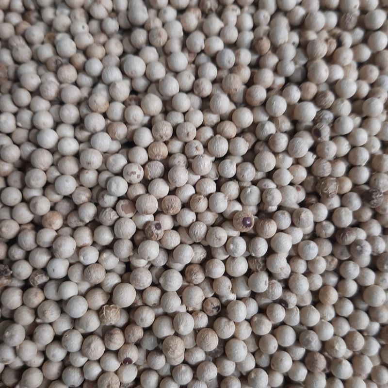 Tiêu Sọ, Tiêu Sọ Trắng, bịch 500g