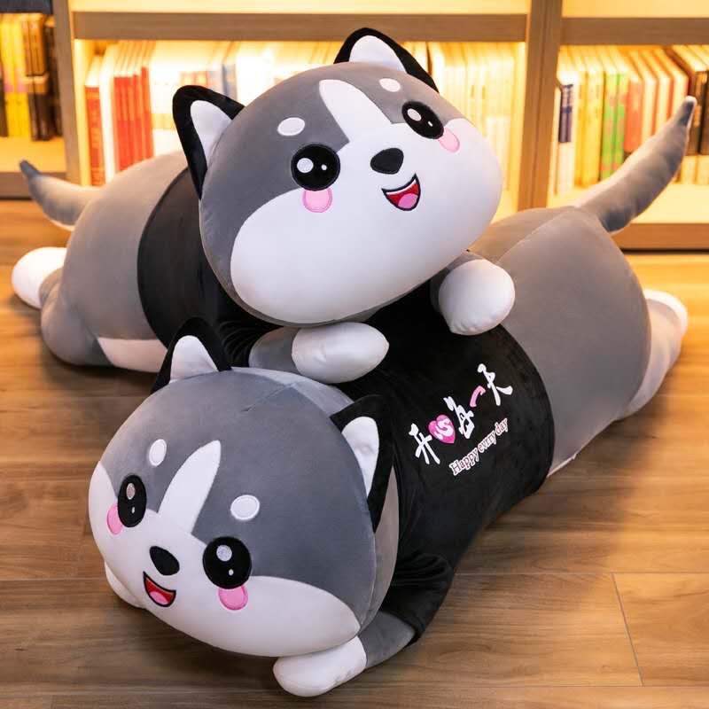 [HCM]gấu bông mèo ôm Hàn Quốc