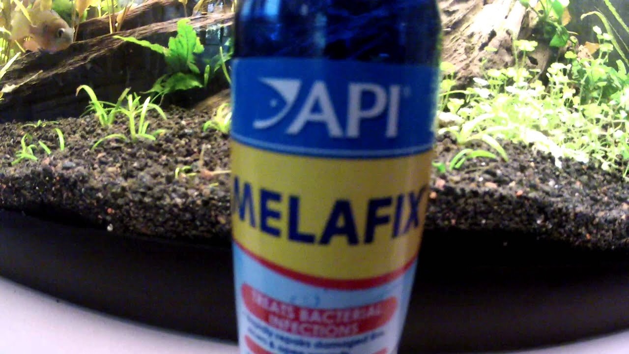 API Melafix ☘ Chế Phẩm Kháng Khuẩn Cho Cá Cảnh 118ml - 237ml - 473ml