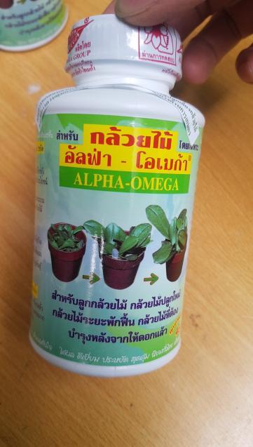 combo siêu  kích hoa +kich kie +kích rễ thái