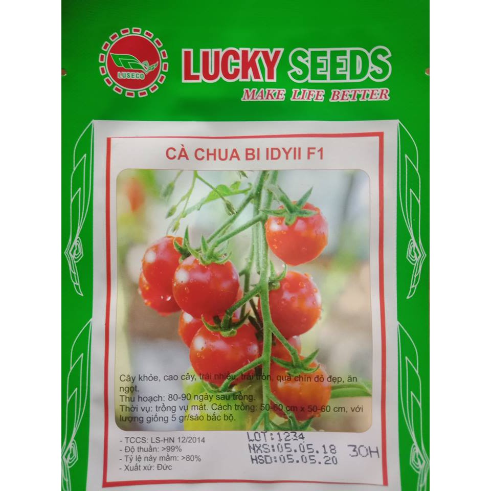 Hạt giống cà chua bi chùm đỏ - 30 hạt