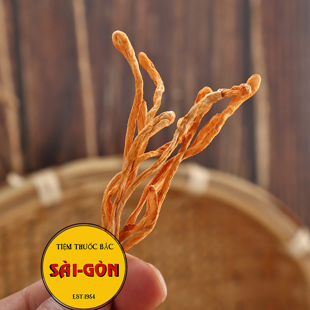 Đông Trùng Hạ Thảo Bông 100gram (Sấy Thăng Hoa)