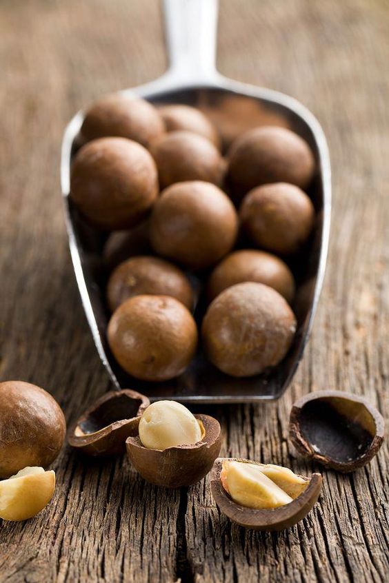 Hạt Macca Lâm Đồng - Maccana Macadamia