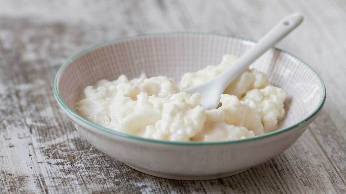 Nấm sữa Milk Kefir
