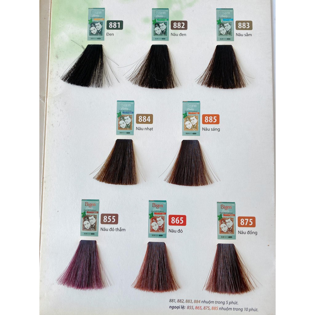 Thuốc nhuộm phủ bạc Bigen No.882 Brownish Black (Màu nâu đen) - Mẫu mới 2025