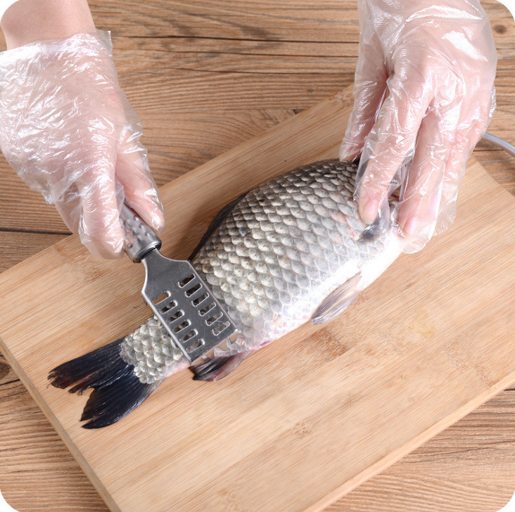 🐬🐠 Dụng Cụ Đánh Vảy Cá Tiện Dụng 🐬🐠