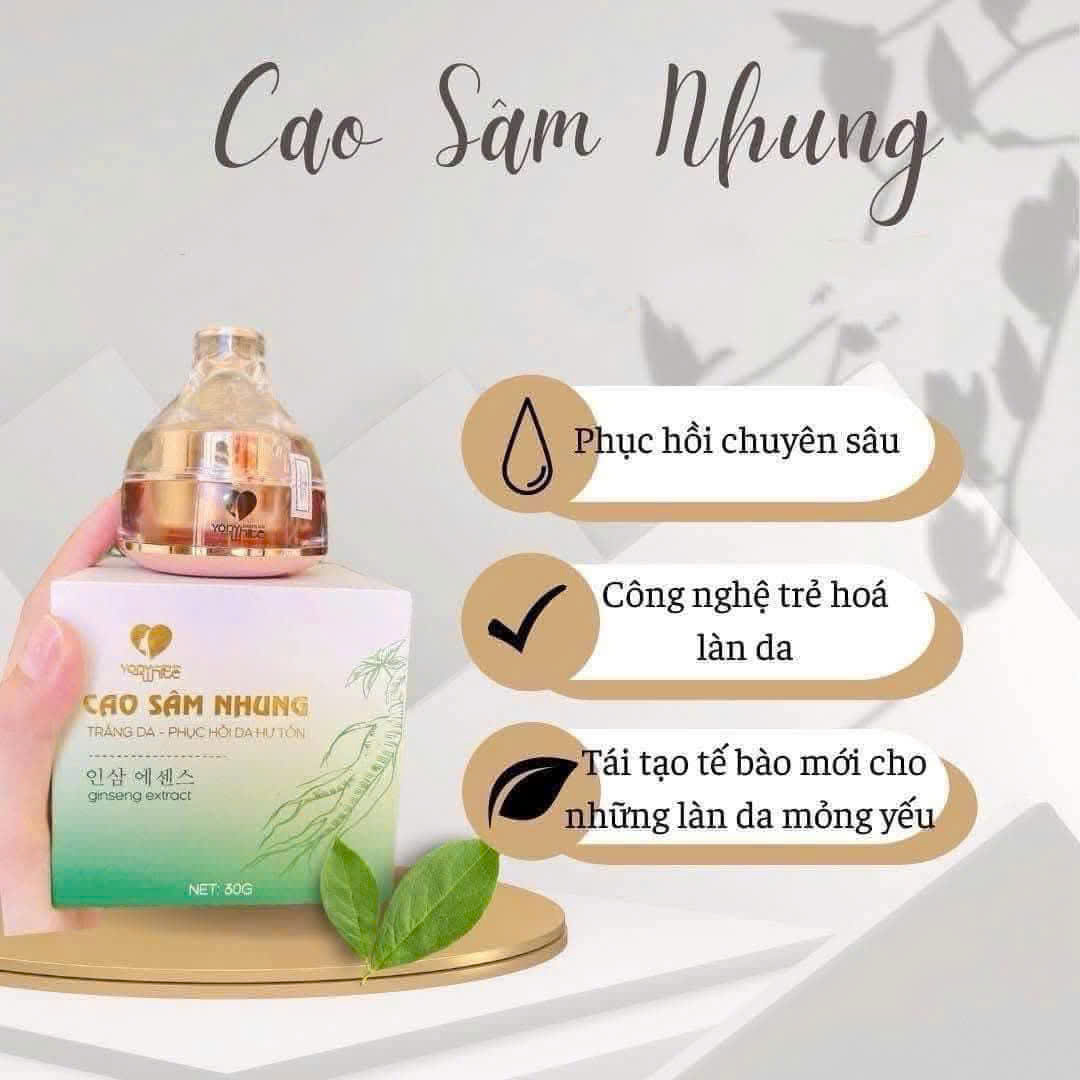 [Chính Hãng].Kem Cao Sâm Nhung Yody Phương Anh