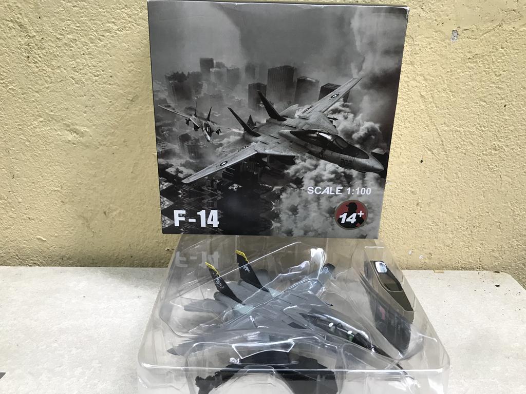 Model of F-14A Tomcat V-84 1/100 Aircraft