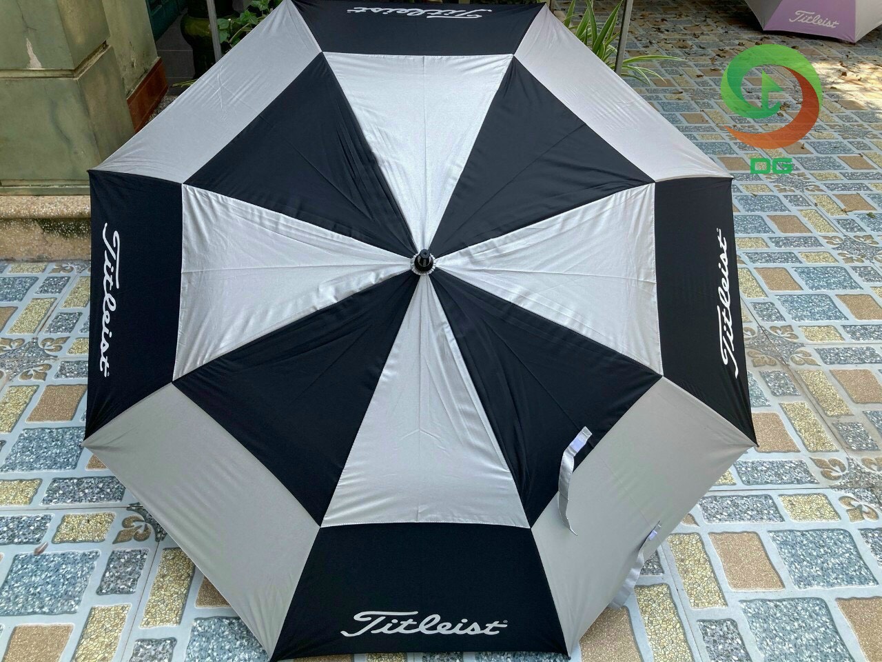 Ô Golf Titleist
