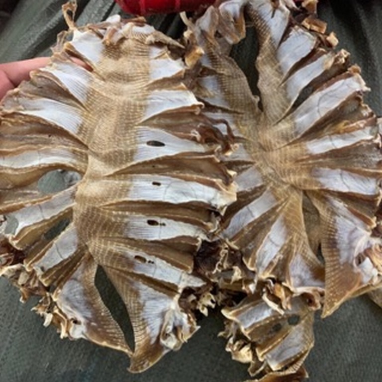 khô cá đuối - loại ngon 100g